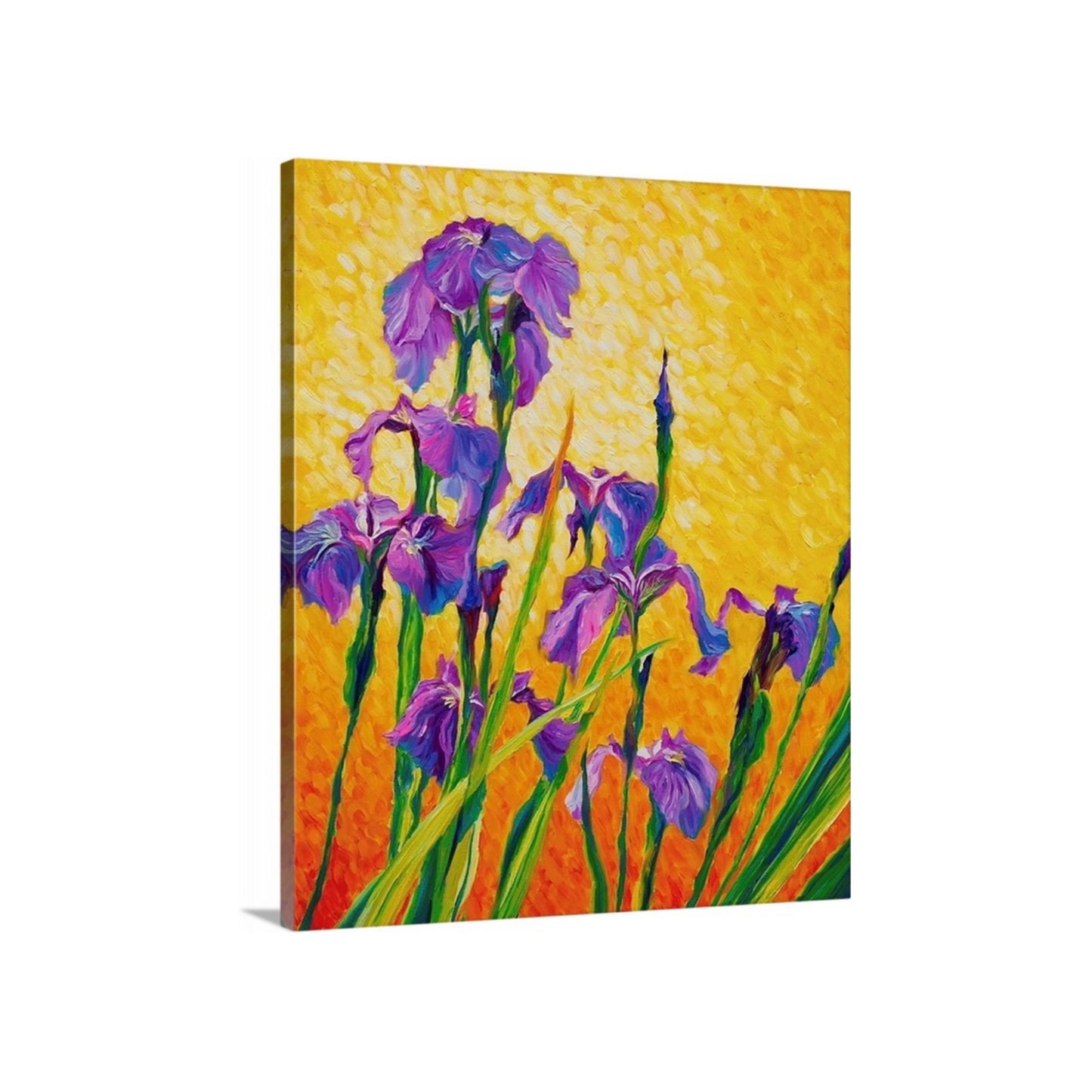 "Arctic Iris" Stretched Canvas Print