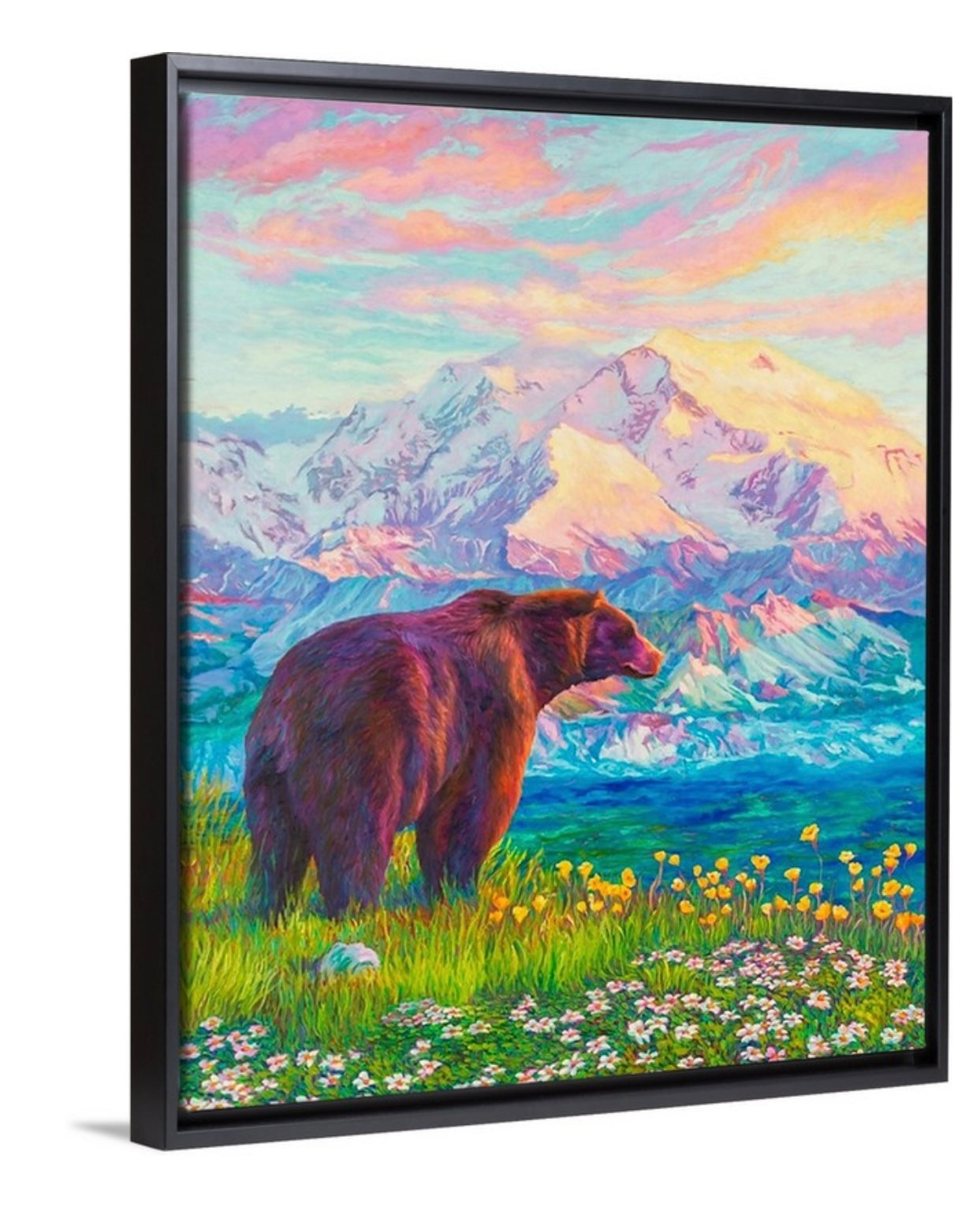 "Denali Blush" Framed Canvas Print