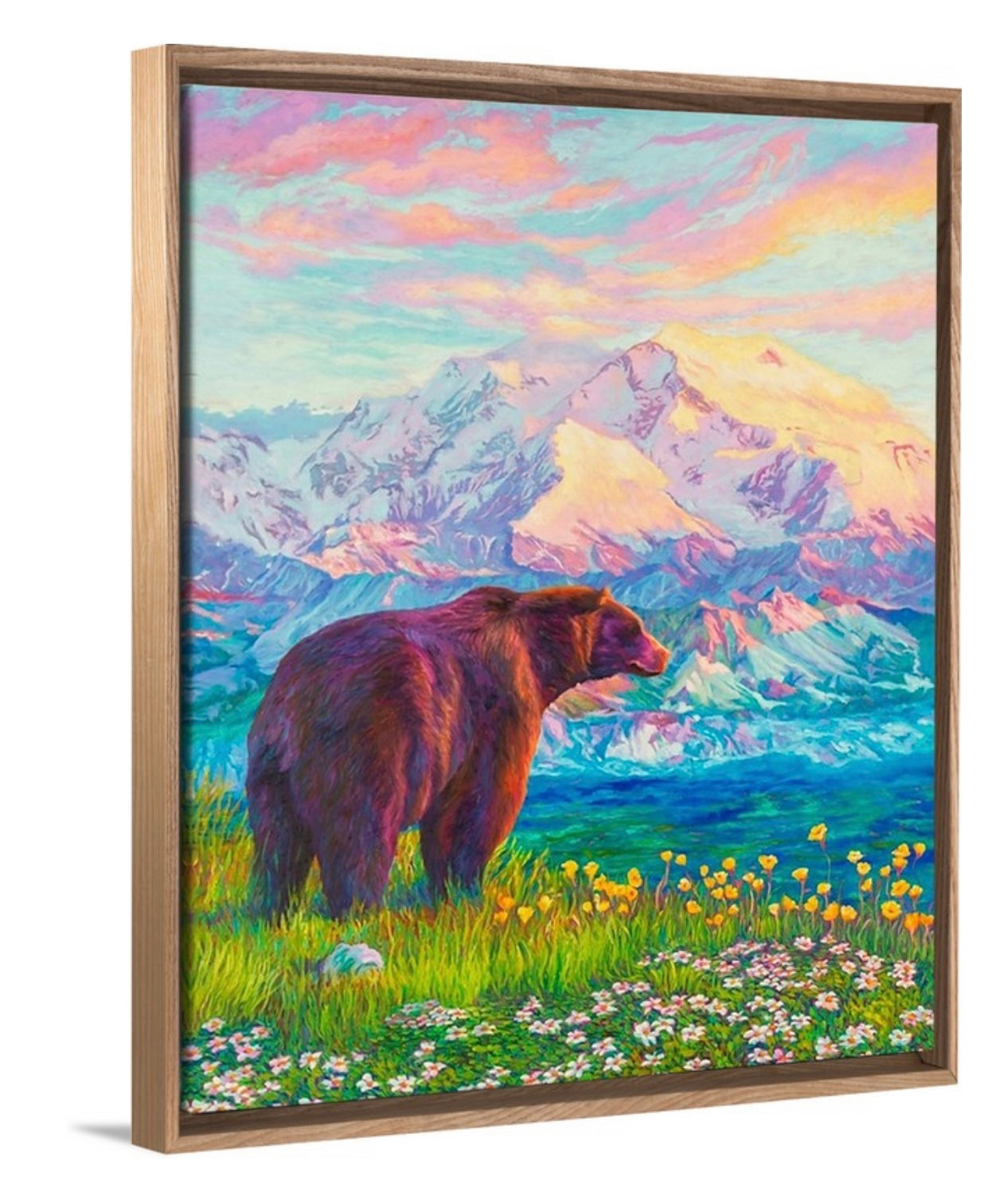 "Denali Blush" Framed Canvas Print