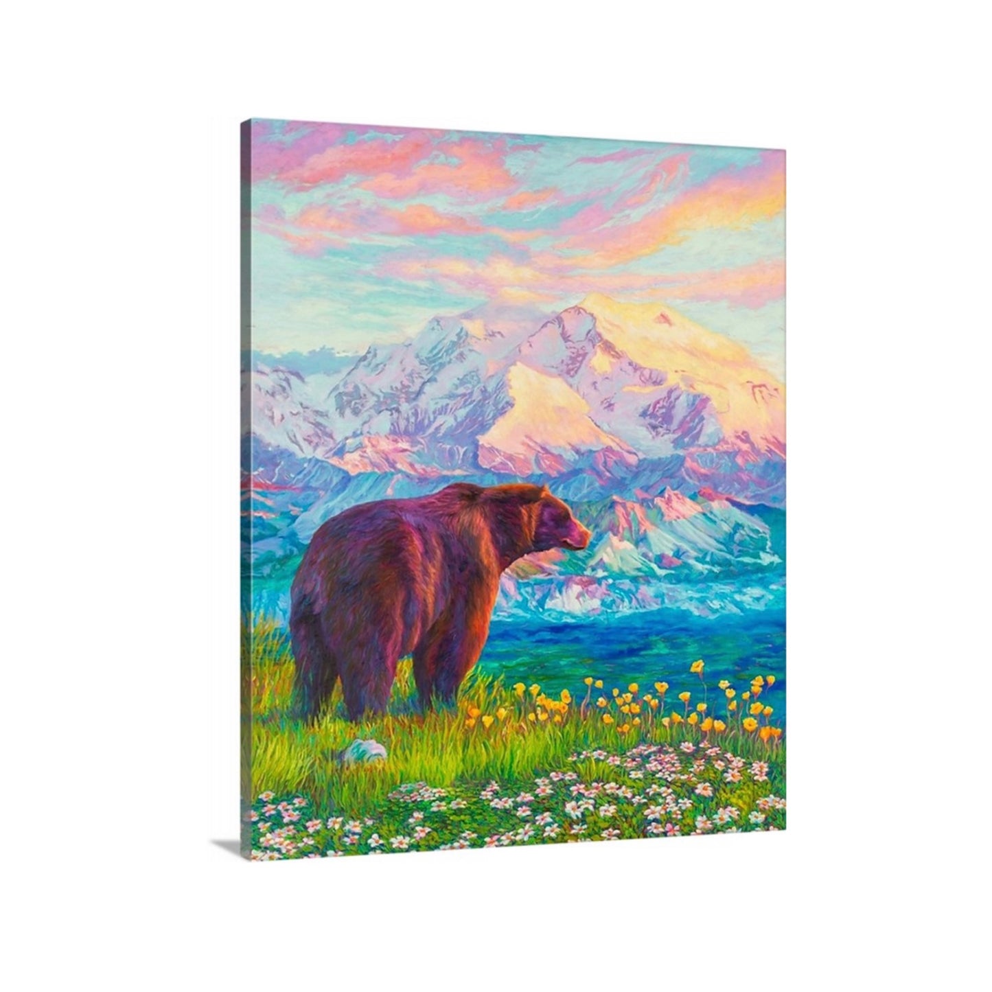 "Denali Blush" Stretched Canvas Print