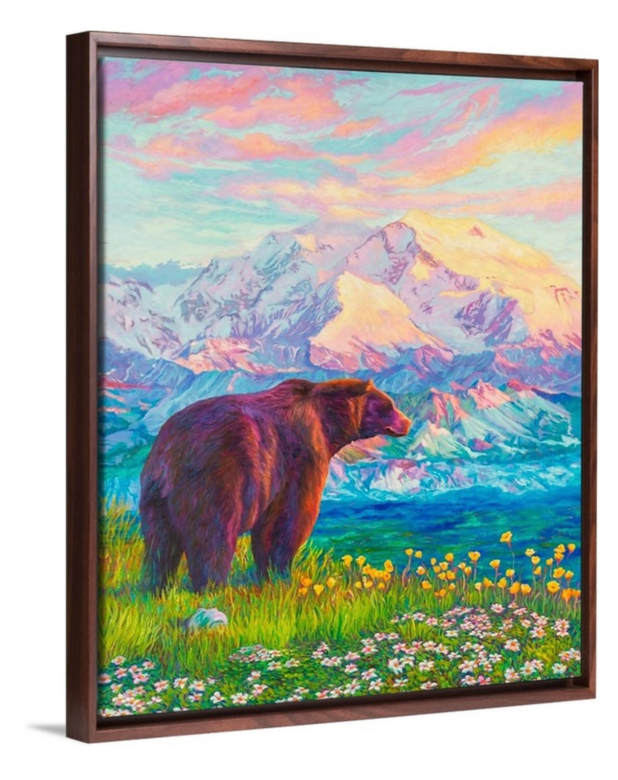 "Denali Blush" Framed Canvas Print