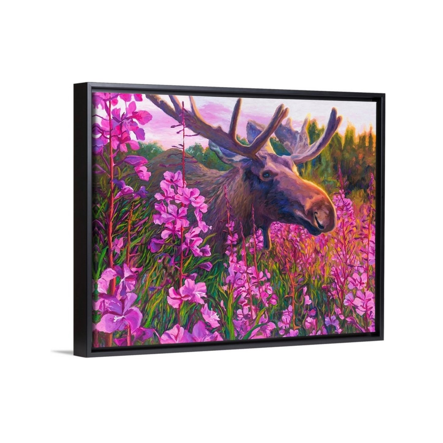 "Midsummer Midnight Moose" Framed Canvas Print