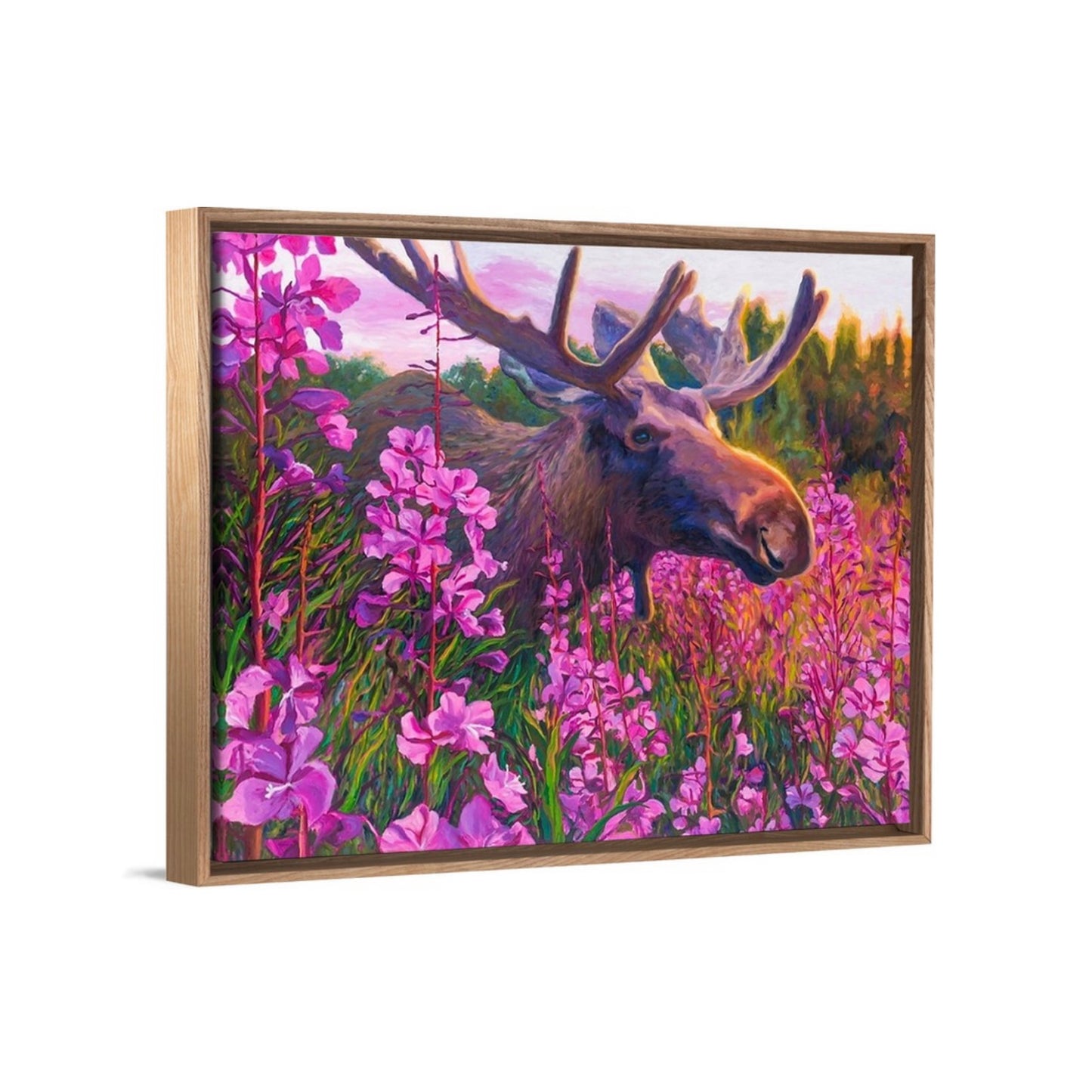 "Midsummer Midnight Moose" Framed Canvas Print
