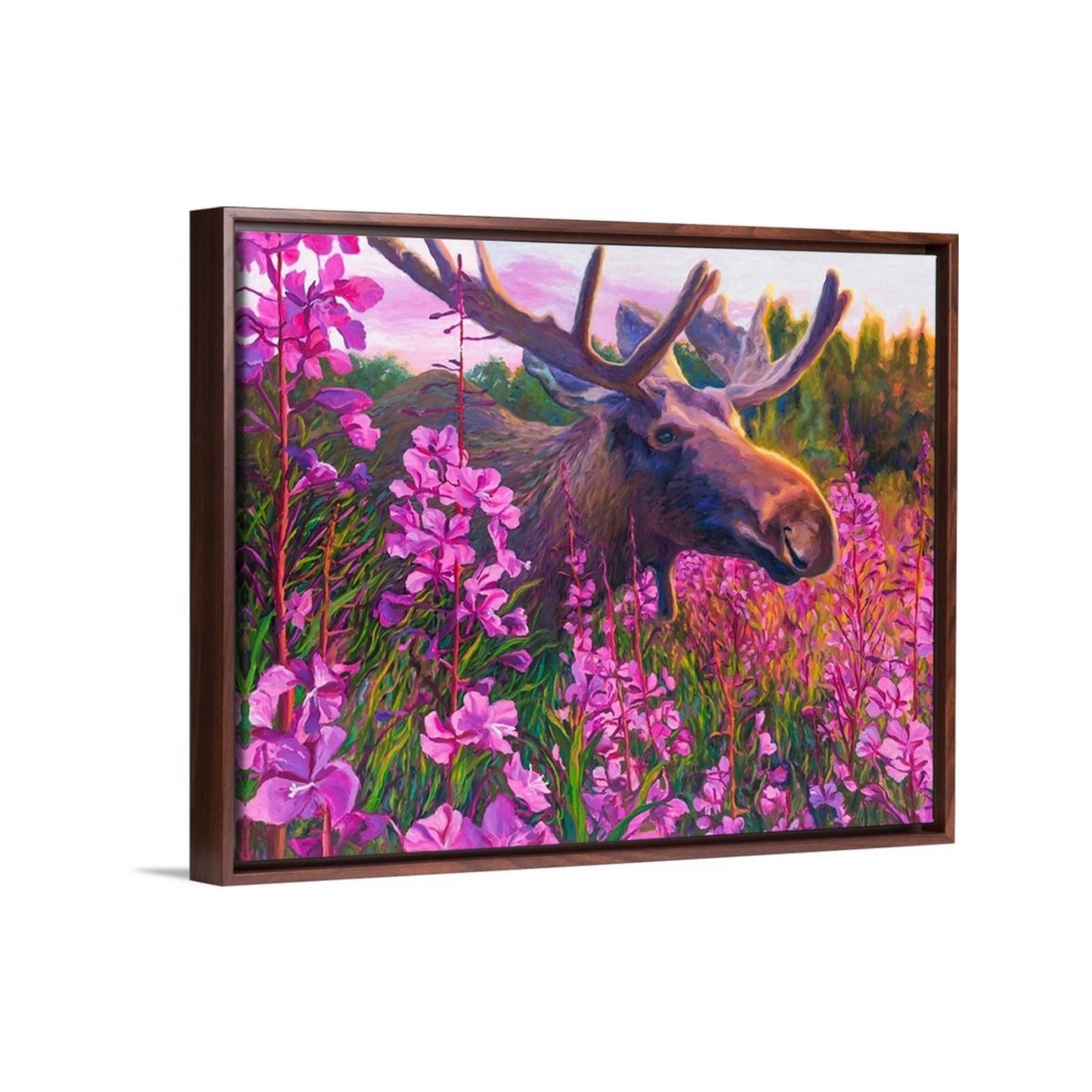 "Midsummer Midnight Moose" Framed Canvas Print