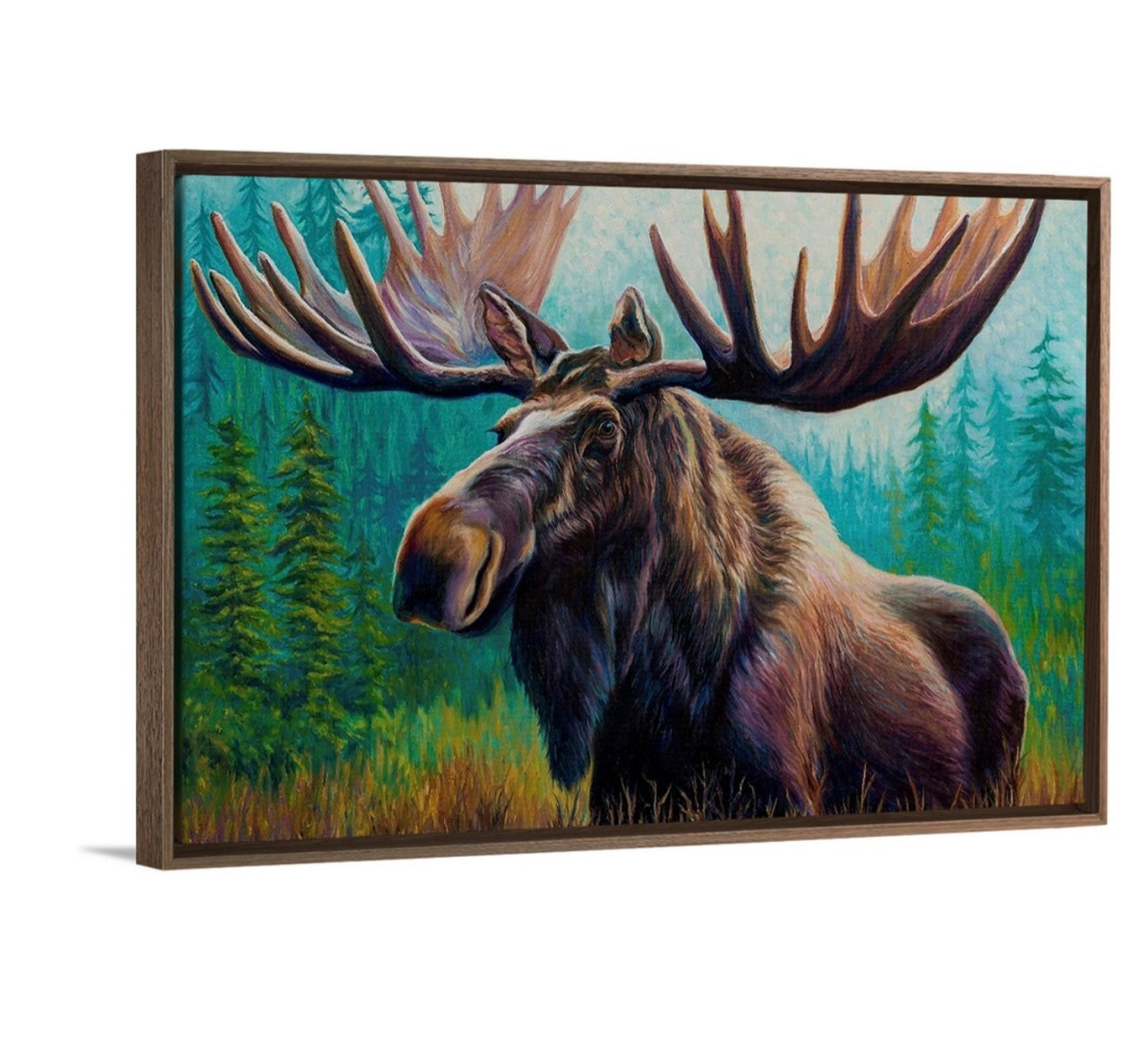 "September Trophy" Framed Canvas Print